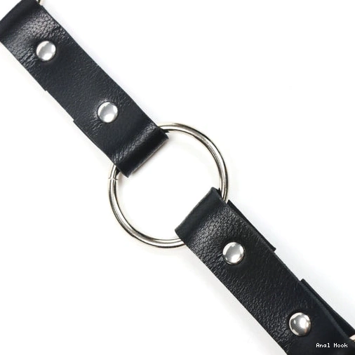 Hook 5853 and Leash Kinky Collar EverydayUse with Anal 0919